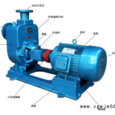 環保排污泵 ZW自吸式無堵塞排污泵 環保污水泵 ZWP不銹鋼材質 ZWB防爆電機