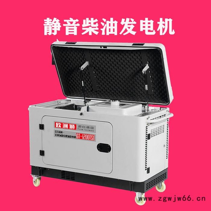 歐洲獅進口15kw柴油發電機組廠家