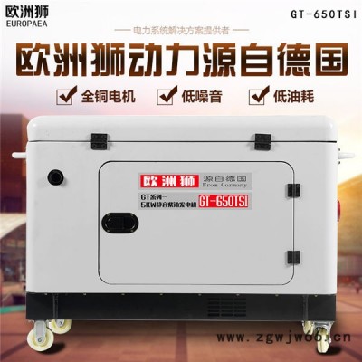 歐洲獅進口8kw柴油發電機廠家