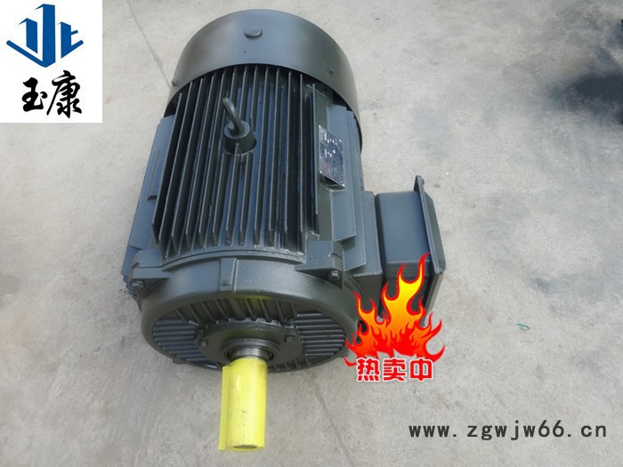 河北玉康Y系列三相異步電機Y802-2級/1.1KW/2800轉/380V國標銅線