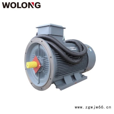 WOLONG/臥龍電機臥龍電氣 電機YE3系列超高效率三相異步電動機YE3 1.1KW千