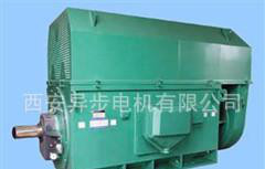 Y系列Y5004-10 315KW 10KV西安西瑪電機三相異步電動機