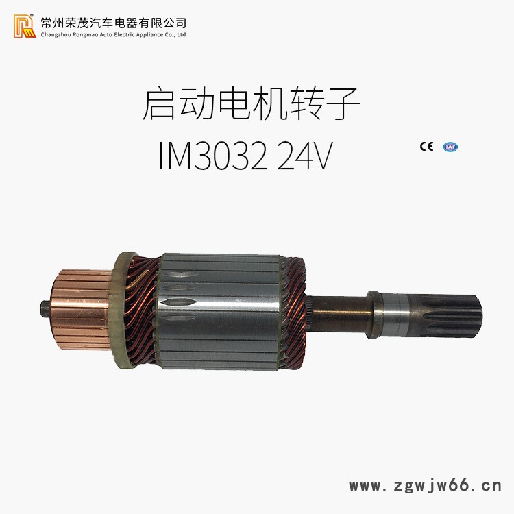 IM3032(24V)