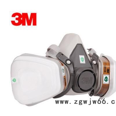 三重防偽 3M6100 防毒面具七件套 噴漆農藥防塵化工口罩