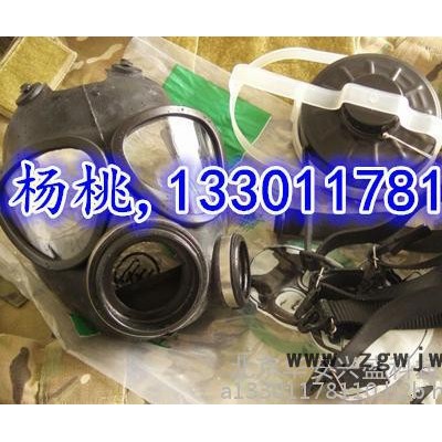 防毒面具 防毒面具價格 軍/民用防毒面具北京防毒面具廠家13301178110