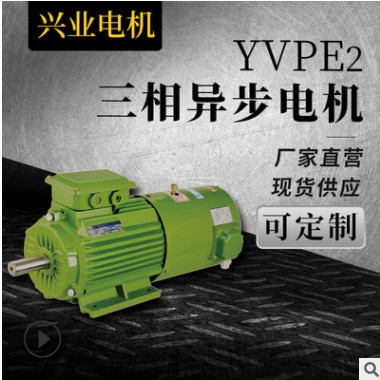 批發零售 節能電機 震動電機 YVPE2三相異步電動機 電機